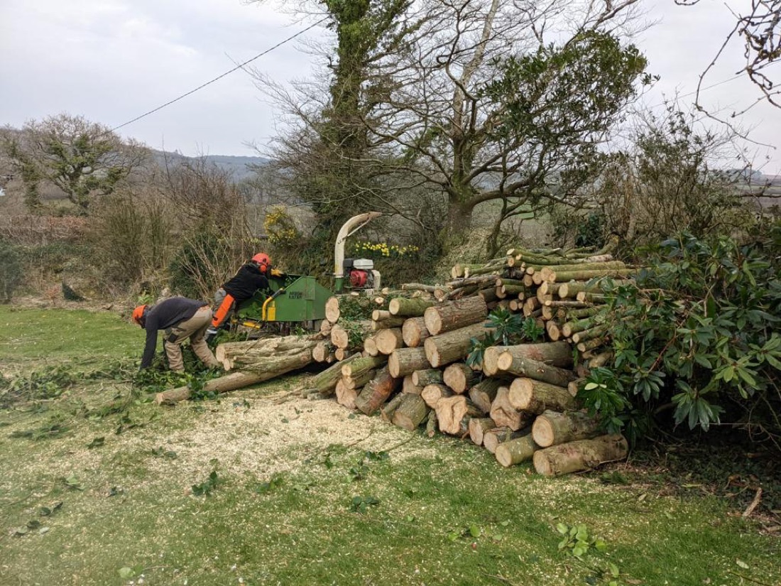 Two Clearbrook crew in helmets and chainsaw trousers feeding brash into a chipper beside a large stack of cut logs