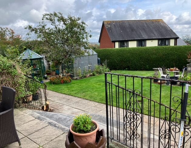 A neatly cut garden hedge running along the boundary of a lawn